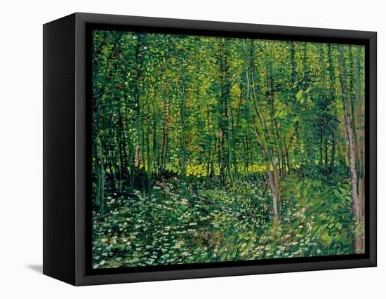 Trees and Undergrowth, c.1887-Vincent van Gogh-Framed Stretched Canvas