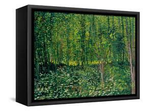 Trees and Undergrowth, c.1887-Vincent van Gogh-Framed Stretched Canvas