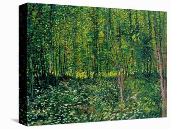 Trees and Undergrowth, c.1887-Vincent van Gogh-Stretched Canvas