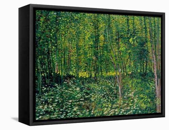 Trees and Undergrowth, c.1887-Vincent van Gogh-Framed Stretched Canvas