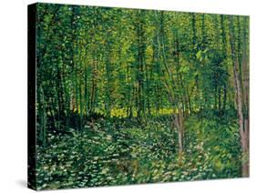 Trees and Undergrowth, c.1887-Vincent van Gogh-Stretched Canvas