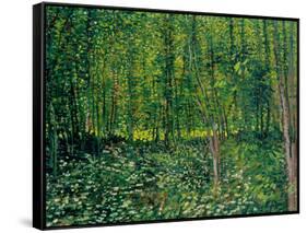 Trees and Undergrowth, c.1887-Vincent van Gogh-Framed Stretched Canvas