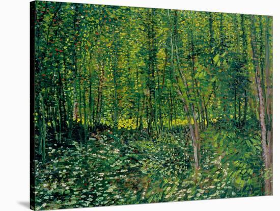 Trees and Undergrowth, c.1887-Vincent van Gogh-Stretched Canvas