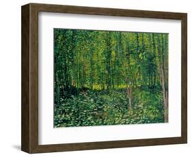 Trees and Undergrowth, c.1887-Vincent van Gogh-Framed Premium Giclee Print