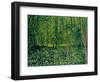 Trees and Undergrowth, c.1887-Vincent van Gogh-Framed Premium Giclee Print