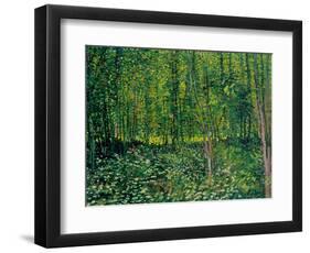 Trees and Undergrowth, c.1887-Vincent van Gogh-Framed Premium Giclee Print