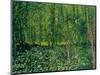 Trees and Undergrowth, c.1887-Vincent van Gogh-Mounted Premium Giclee Print