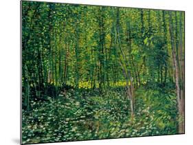 Trees and Undergrowth, c.1887-Vincent van Gogh-Mounted Premium Giclee Print