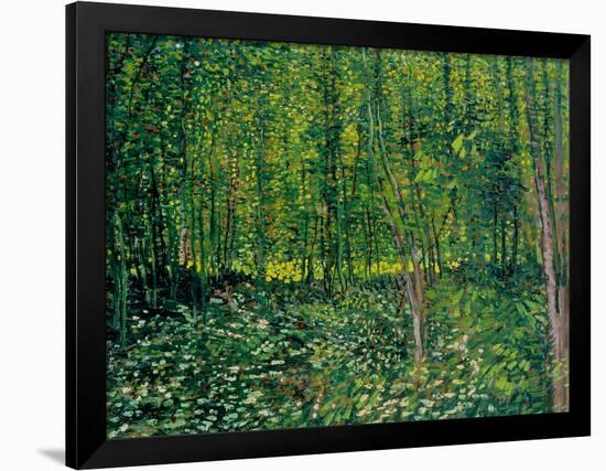 Trees and Undergrowth, c.1887-Vincent van Gogh-Framed Premium Giclee Print