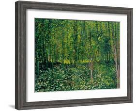 Trees and Undergrowth, c.1887-Vincent van Gogh-Framed Giclee Print