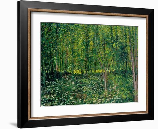 Trees and Undergrowth, c.1887-Vincent van Gogh-Framed Giclee Print