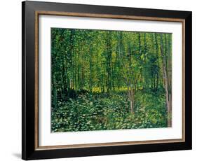 Trees and Undergrowth, c.1887-Vincent van Gogh-Framed Giclee Print