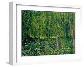 Trees and Undergrowth, c.1887-Vincent van Gogh-Framed Giclee Print