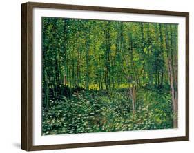 Trees and Undergrowth, c.1887-Vincent van Gogh-Framed Giclee Print