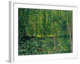 Trees and Undergrowth, c.1887-Vincent van Gogh-Framed Giclee Print