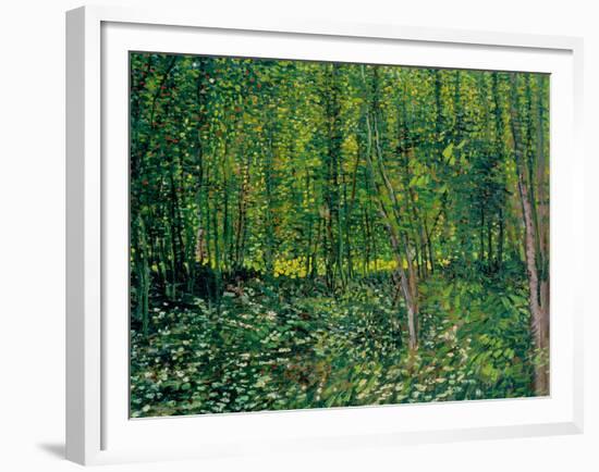 Trees and Undergrowth, c.1887-Vincent van Gogh-Framed Giclee Print