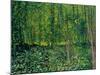 Trees and Undergrowth, c.1887-Vincent van Gogh-Mounted Giclee Print