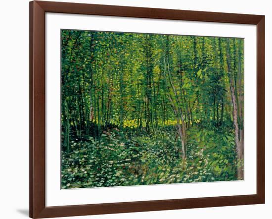 Trees and Undergrowth, c.1887-Vincent van Gogh-Framed Giclee Print