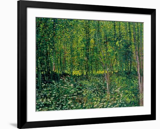 Trees and Undergrowth, c.1887-Vincent van Gogh-Framed Giclee Print