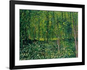 Trees and Undergrowth, c.1887-Vincent van Gogh-Framed Giclee Print