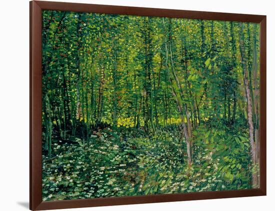 Trees and Undergrowth, c.1887-Vincent van Gogh-Framed Giclee Print