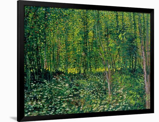 Trees and Undergrowth, c.1887-Vincent van Gogh-Framed Giclee Print