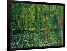 Trees and Undergrowth, c.1887-Vincent van Gogh-Framed Giclee Print