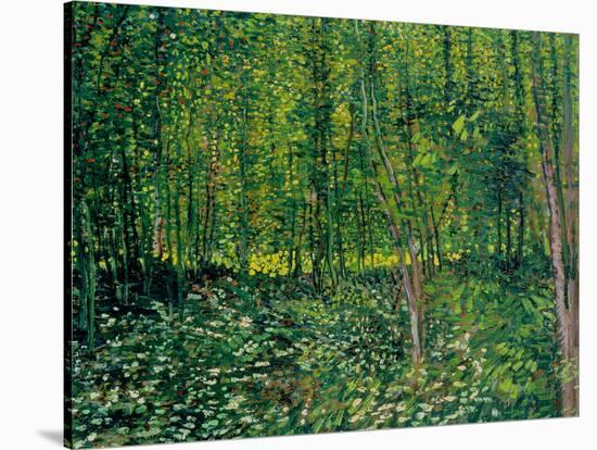 Trees and Undergrowth, c.1887-Vincent van Gogh-Stretched Canvas