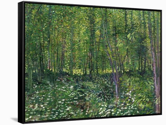 Trees and Undergrowth, c.1887-Vincent van Gogh-Framed Stretched Canvas