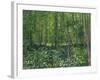 Trees and Undergrowth, c.1887-Vincent van Gogh-Framed Art Print