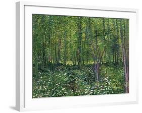 Trees and Undergrowth, c.1887-Vincent van Gogh-Framed Art Print