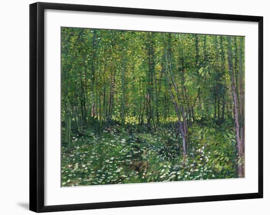 Trees and Undergrowth, c.1887-Vincent van Gogh-Framed Art Print