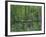 Trees and Undergrowth, c.1887-Vincent van Gogh-Framed Art Print