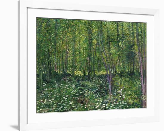 Trees and Undergrowth, c.1887-Vincent van Gogh-Framed Art Print