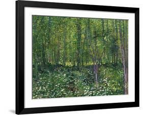 Trees and Undergrowth, c.1887-Vincent van Gogh-Framed Art Print