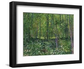 Trees and Undergrowth, c.1887-Vincent van Gogh-Framed Art Print