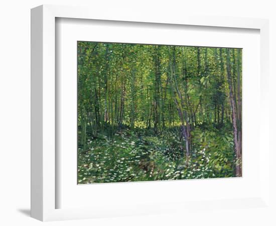 Trees and Undergrowth, c.1887-Vincent van Gogh-Framed Art Print