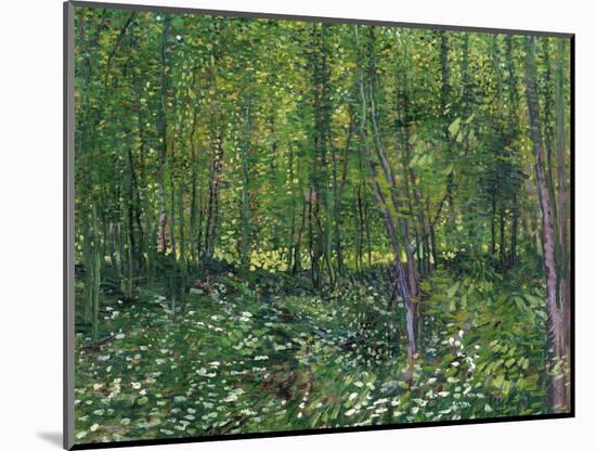 Trees and Undergrowth, c.1887-Vincent van Gogh-Mounted Art Print