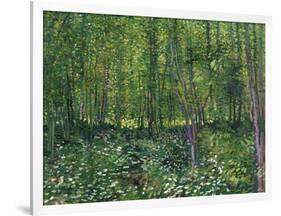 Trees and Undergrowth, c.1887-Vincent van Gogh-Framed Art Print