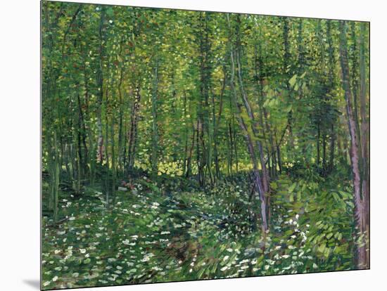 Trees and Undergrowth, c.1887-Vincent van Gogh-Mounted Art Print