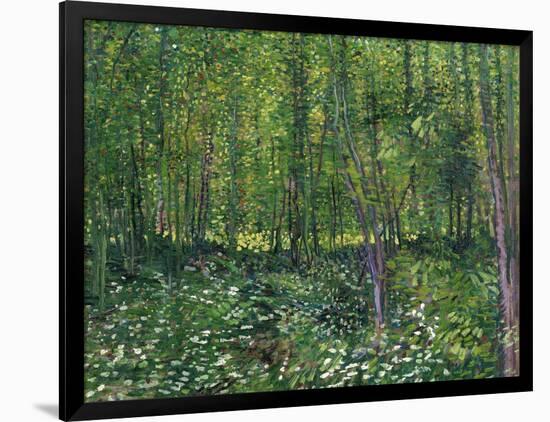 Trees and Undergrowth, c.1887-Vincent van Gogh-Framed Art Print