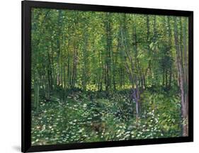 Trees and Undergrowth, c.1887-Vincent van Gogh-Framed Art Print