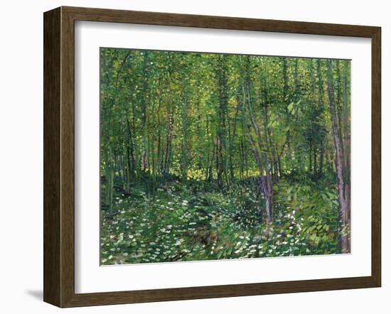 Trees and Undergrowth, c.1887-Vincent van Gogh-Framed Art Print