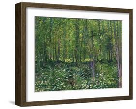 Trees and Undergrowth, c.1887-Vincent van Gogh-Framed Art Print