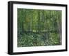 Trees and Undergrowth, c.1887-Vincent van Gogh-Framed Art Print