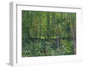 Trees and Undergrowth, c.1887-Vincent van Gogh-Framed Art Print