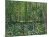 Trees and Undergrowth, c.1887-Vincent van Gogh-Mounted Premium Giclee Print