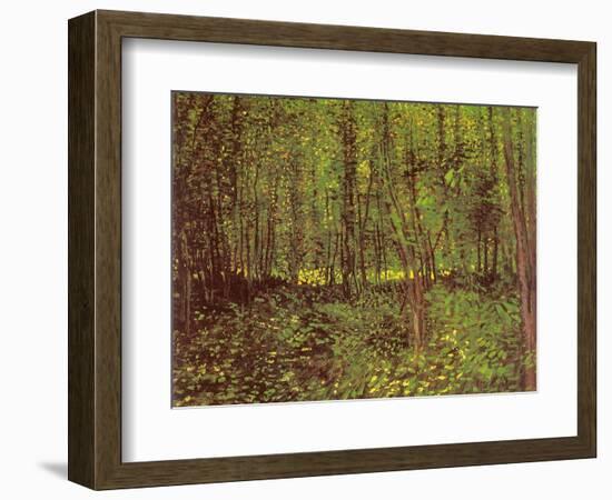 Trees and Undergrowth, c.1887-Vincent van Gogh-Framed Giclee Print