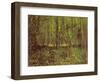 Trees and Undergrowth, c.1887-Vincent van Gogh-Framed Giclee Print