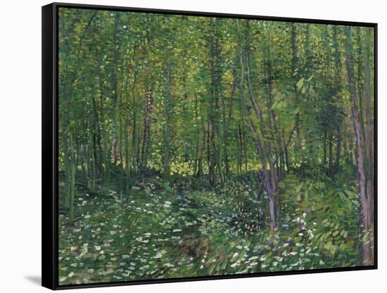 Trees and Underwood, c.1887-Vincent van Gogh-Framed Stretched Canvas